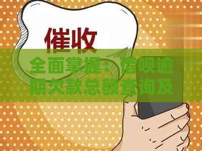 全面掌握：借呗逾期欠款总额查询及解决方法大揭秘