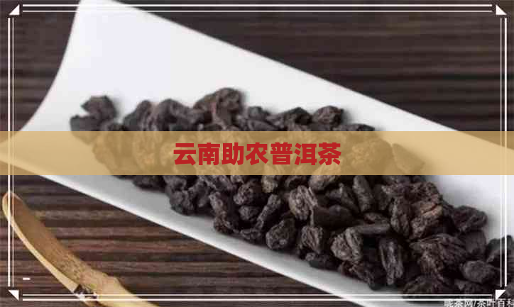 云南助农普洱茶