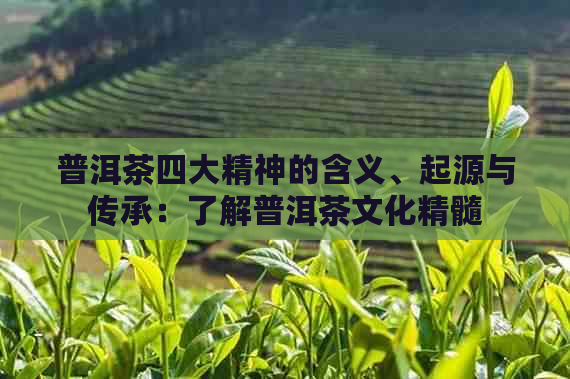 普洱茶四大精神的含义、起源与传承：了解普洱茶文化精髓