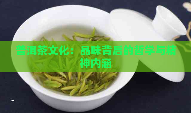 普洱茶文化：品味背后的哲学与精神内涵