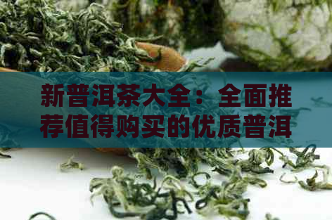 新普洱茶大全：全面推荐值得购买的优质普洱茶及选购指南