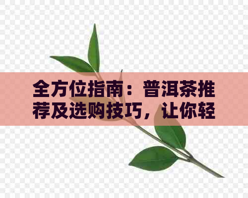 全方位指南：普洱茶推荐及选购技巧，让你轻松成为普洱茶专家