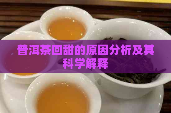 普洱茶回甜的原因分析及其科学解释