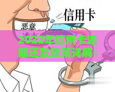 2022年信用卡逾期还款政策详解：持卡人必知的处理步骤与最新流程