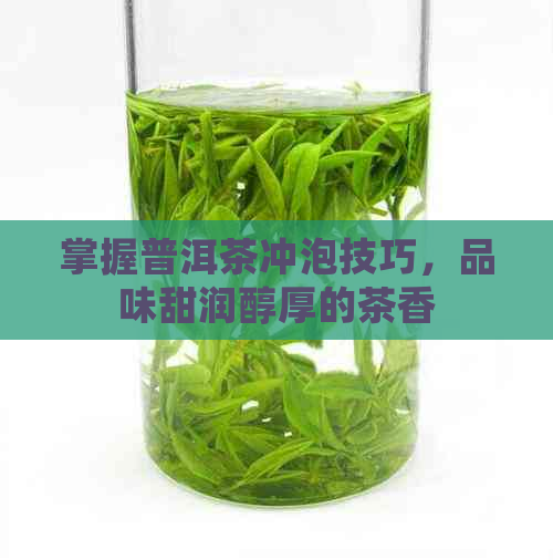 掌握普洱茶冲泡技巧，品味甜润醇厚的茶香