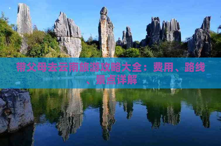 带父母去云南旅游攻略大全：费用、路线、景点详解