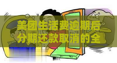 美团生活费逾期后分期还款取消的全面解答：如何处理、影响与可能解决方案