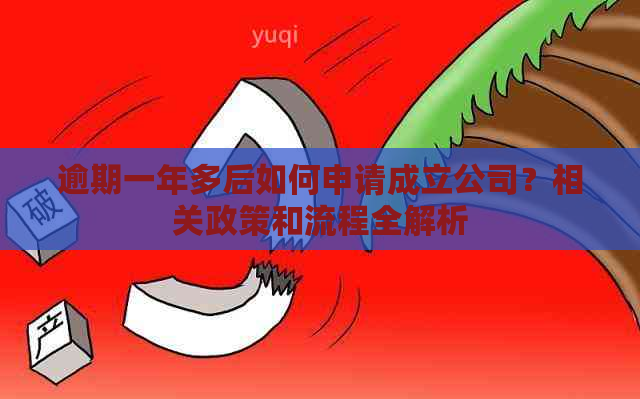 逾期一年多后如何申请成立公司？相关政策和流程全解析