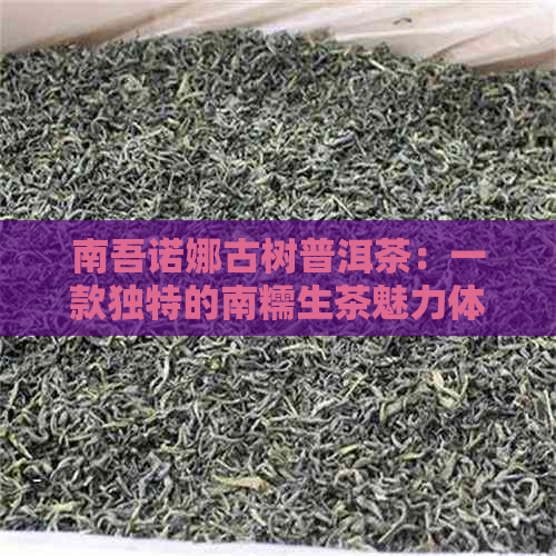 南吾诺娜古树普洱茶：一款独特的南糯生茶魅力体验