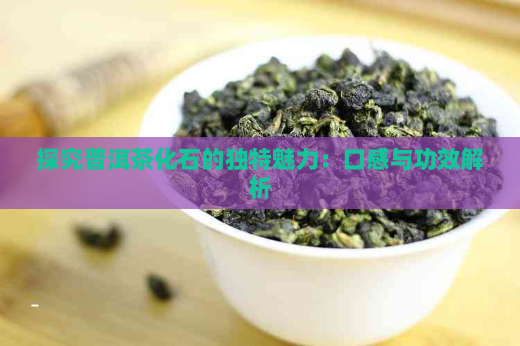 探究普洱茶化石的独特魅力：口感与功效解析