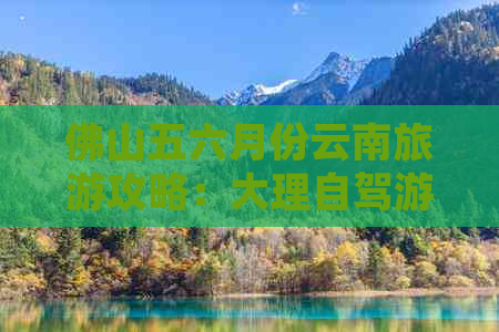 佛山五六月份云南旅游攻略：大理自驾游路线全解析