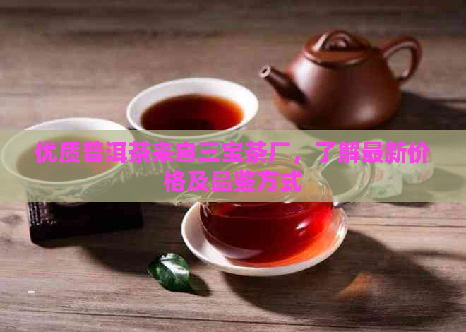 优质普洱茶来自三宝茶厂，了解最新价格及品鉴方式