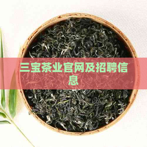 三宝茶业官网及招聘信息