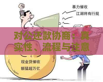 对公还款协商：真实性、流程与注意事项，一篇全面解答