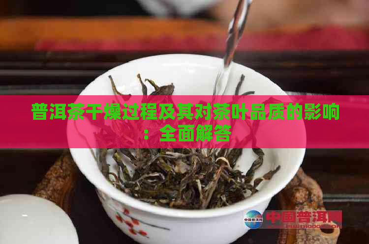 普洱茶干燥过程及其对茶叶品质的影响：全面解答