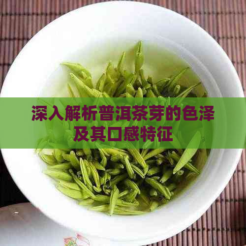 深入解析普洱茶芽的色泽及其口感特征