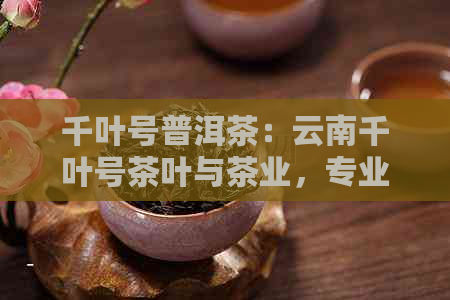 千叶号普洱茶：云南千叶号茶叶与茶业，专业产销一体化企业