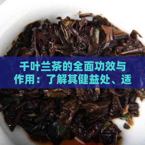 千叶兰茶的全面功效与作用：了解其健益处、适应症及饮用方法