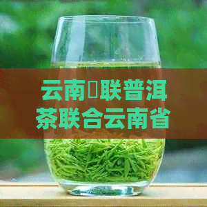 云南栢联普洱茶联合云南省普洱联众生物资源开发进行茶叶开发合作