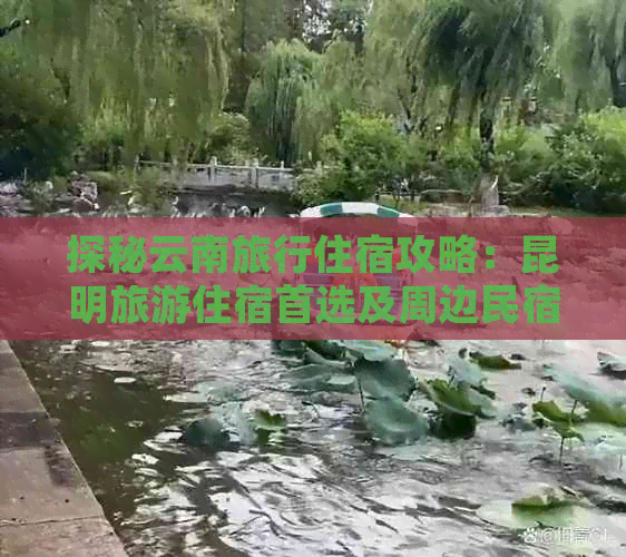 探秘云南旅行住宿攻略：昆明旅游住宿首选及周边民宿推荐