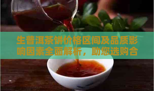 生普洱茶饼价格区间及品质影响因素全面解析，助您选购合适的茶饼