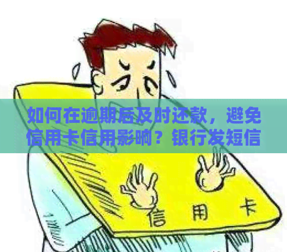 如何在逾期后及时还款，避免信用卡信用影响？银行发短信提醒的正确操作方法