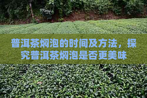 普洱茶焖泡的时间及方法，探究普洱茶焖泡是否更美味