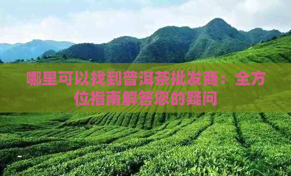 哪里可以找到普洱茶批发商：全方位指南解答您的疑问