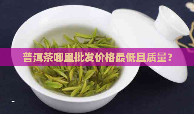 普洱茶哪里批发价格更低且质量？