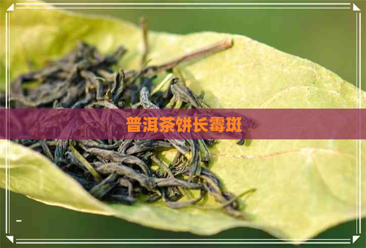 普洱茶饼长霉斑