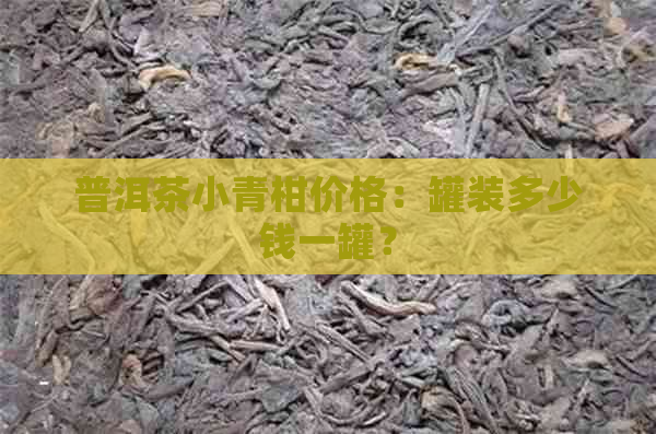 普洱茶小青柑价格：罐装多少钱一罐？