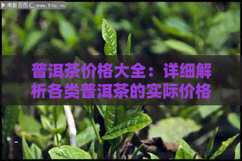 普洱茶价格大全：详细解析各类普洱茶的实际价格，让消费者轻松选购！