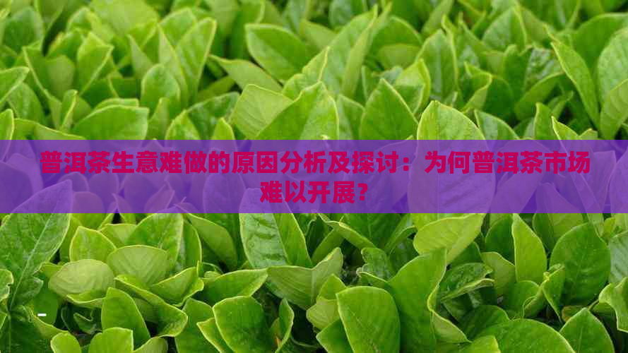 普洱茶生意难做的原因分析及探讨：为何普洱茶市场难以开展？