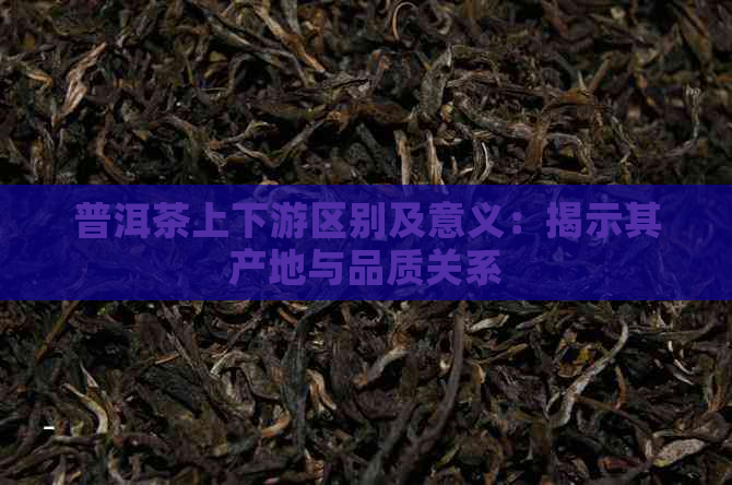 普洱茶上下游区别及意义：揭示其产地与品质关系