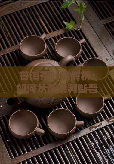 普洱茶叶底解析：如何从茶底判断普洱茶的优劣