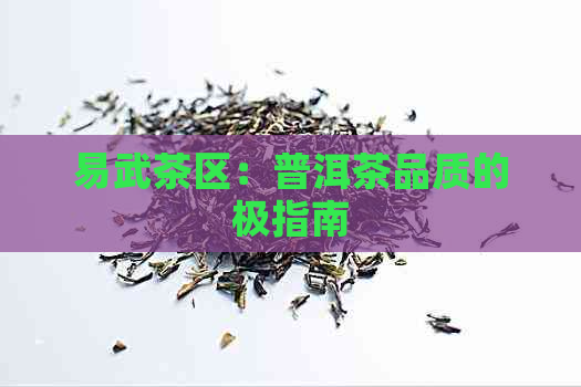 易武茶区：普洱茶品质的极指南