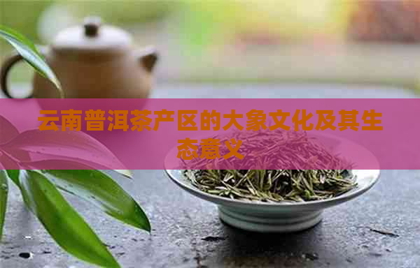 云南普洱茶产区的大象文化及其生态意义