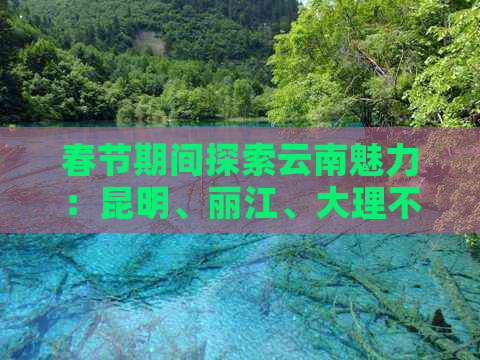 春节期间探索云南魅力：昆明、丽江、大理不可错过的景点和旅行指南