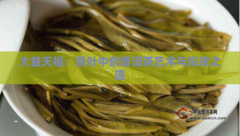 大益天福：茶叶中的普洱茶艺术与投资之道