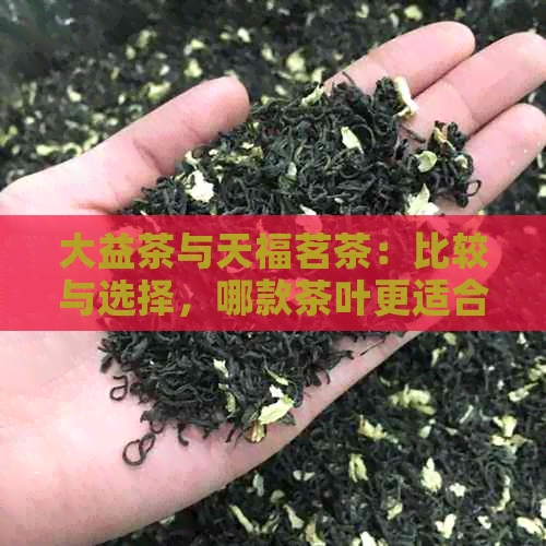 大益茶与天福茗茶：比较与选择，哪款茶叶更适合您？