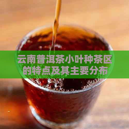 云南普洱茶小叶种茶区的特点及其主要分布