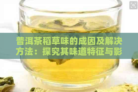 普洱茶稻草味的成因及解决方法：探究其味道特征与影响因素