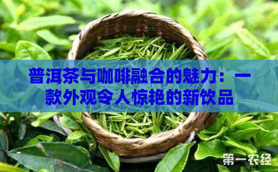 普洱茶与咖啡融合的魅力：一款外观令人惊艳的新饮品