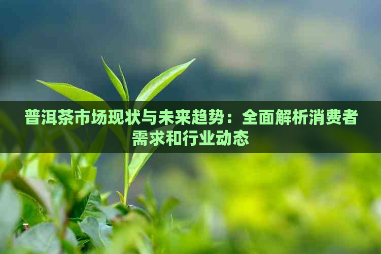 普洱茶市场现状与未来趋势：全面解析消费者需求和行业动态