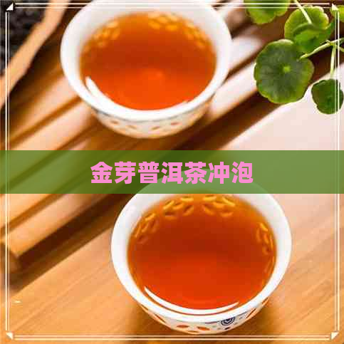 金芽普洱茶冲泡