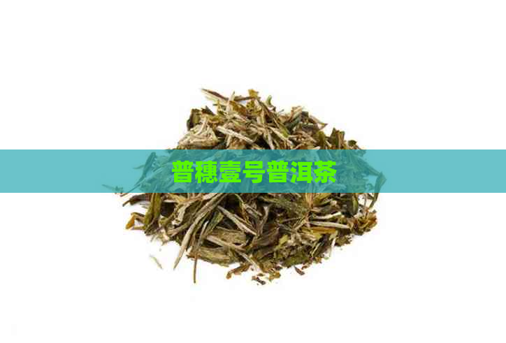 普穗壹号普洱茶