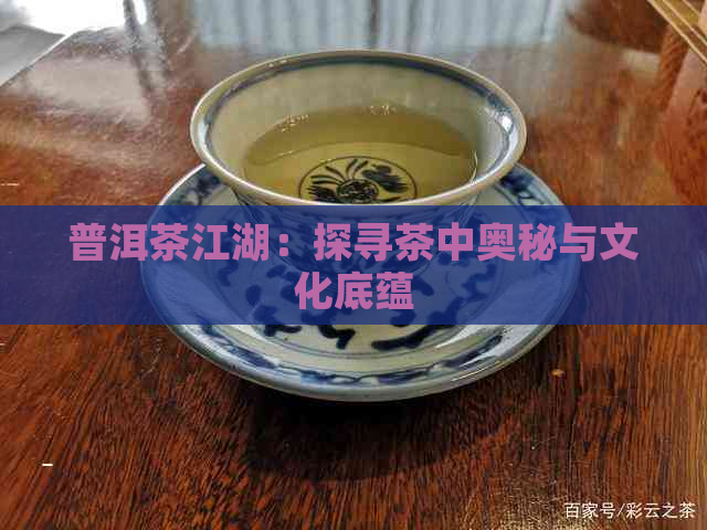 普洱茶江湖：探寻茶中奥秘与文化底蕴