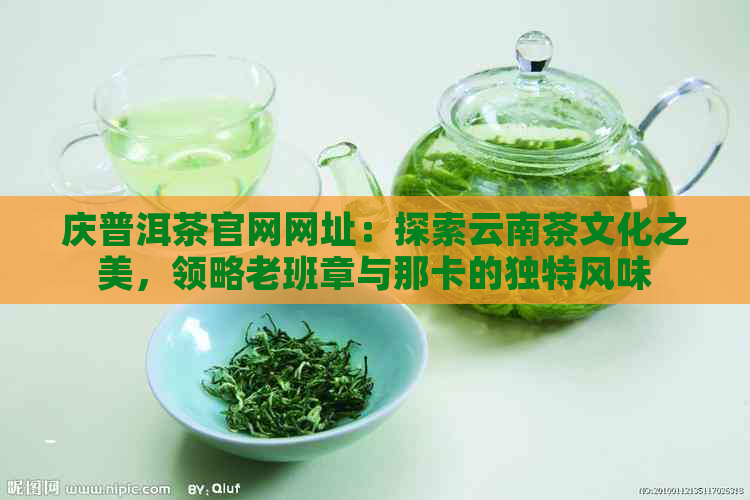 庆普洱茶官网网址：探索云南茶文化之美，领略老班章与那卡的独特风味