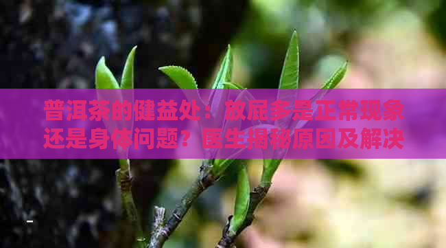 普洱茶的健益处：放屁多是正常现象还是身体问题？医生揭秘原因及解决方案