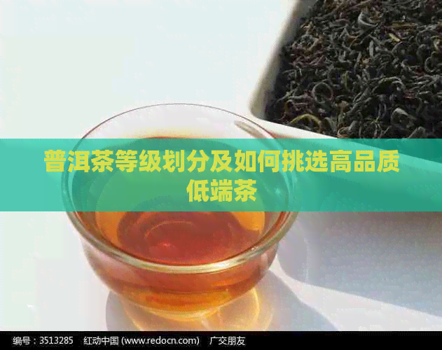 普洱茶等级划分及如何挑选高品质低端茶